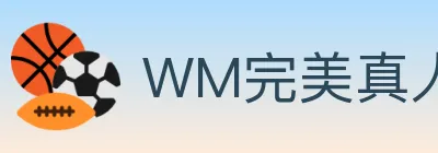 WM完美真人 logo